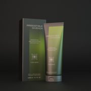 3d rendering and model products