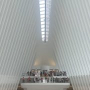Interactive Visualization