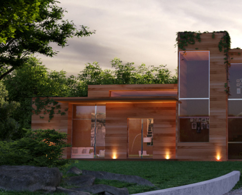3D Rendering of houses